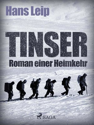 cover image of Tinser